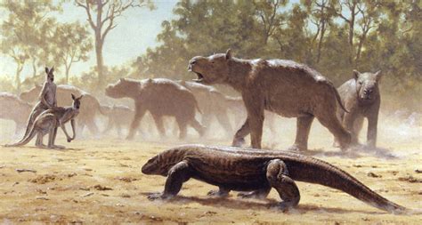 Meet Diprotodon Australias Prehistoric Migratory Marsupial