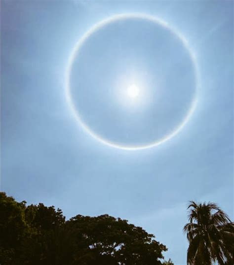 Un Halo Solar Cubrió El Cielo De Cdmx Por Qué Sucede Este Fenómeno Infobae