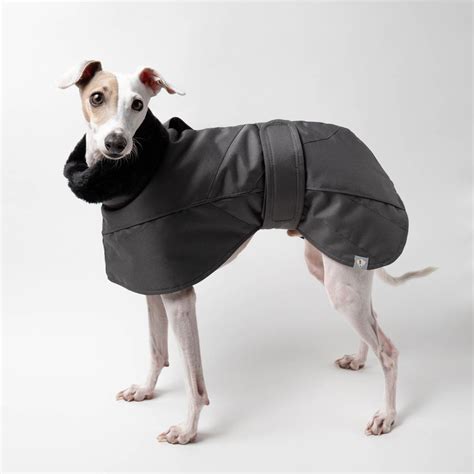 Italian Greyhound Winter Coat In Charcoal Italian Greyhound Coats