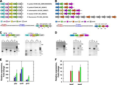 Transcriptional Modulation Of Transport And Metabolism Associated Gene