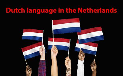 A History of the Dutch Language | translations.co.uk
