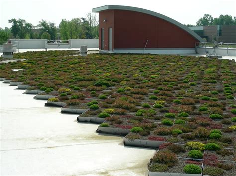 Green Roof Blocks Simple Solutions To Building Green