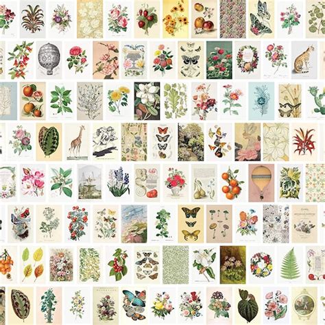 50 Printed 4x6 Vintage Cottagecore Aesthetic Wall Collage Kit Etsy