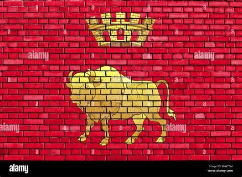 flag of Grodno Region painted on brick wall Stock Photo - Alamy