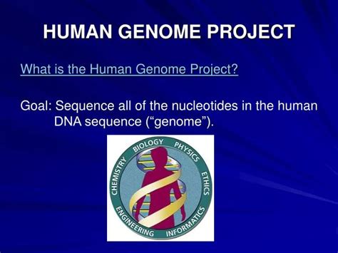 Ppt Human Genome Project Powerpoint Presentation Free Download Id3668229