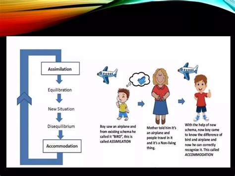 Piaget Theory Of Cognitive Development 6