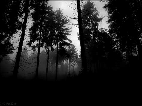 Creepy Forest Wallpaper - WallpaperSafari