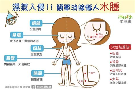 人體最該排的毒是「濕氣」中醫師與您分享不可不知的消除水腫、排除濕氣的方法，以及哪些食物和穴位按摩能消水腫！ Alpineatks 的網誌