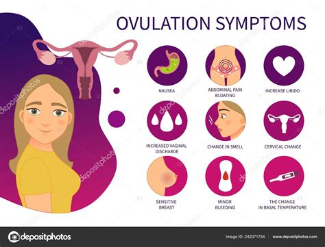 Sintomas De Ovula O Tardia Braincp