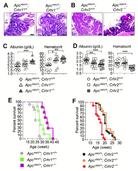 Crhr1 Deletion Reduces The Severity Of Intestinal Tumorigenesis In