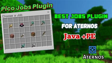 How To Install Jobs Plugin In Aternos Server With Permission YouTube