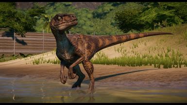 Velociraptor Skin Tweaks - JP and TLW at Jurassic World Evolution Nexus - Mods and community