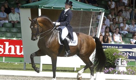 Grand Prix Paard Idocus Overleden Op 31 Jarige Leeftijd Het