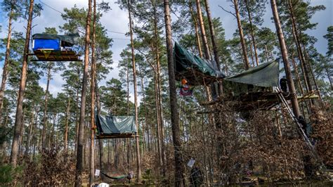 Germania Proteste Contro Tesla Per L Abbattimento Di Una Foresta