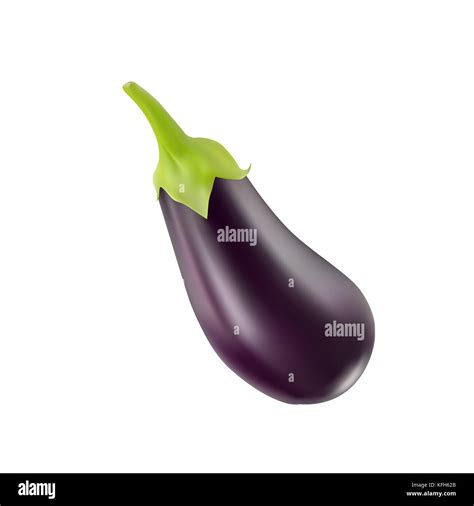 Eggplant Isolated On White Background Stock Vector Image And Art Alamy