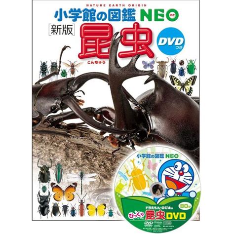 『小学館の図鑑NEO〔新版〕 昆虫 DVDつき』指導・執筆／小池啓一 、小野展嗣 他 -の商品詳細 | 蔦屋書店オンラインストア