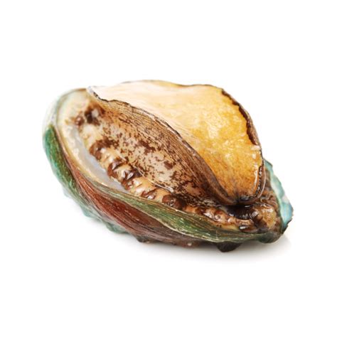 farmed  abalone classic fine foods