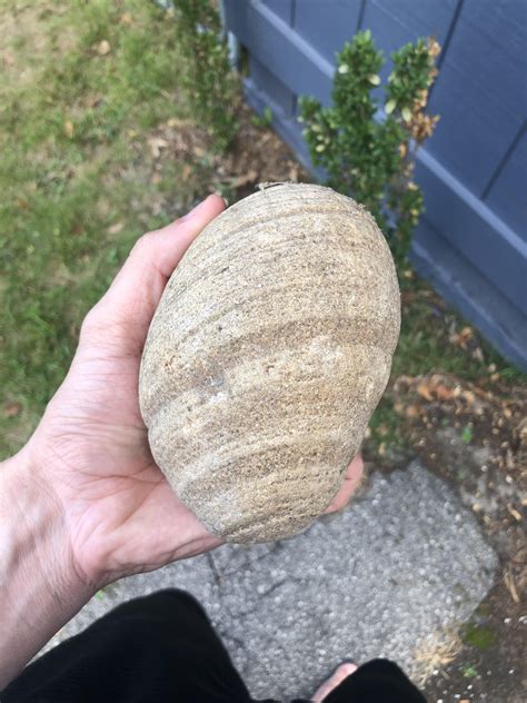 Found In My Yard Many Years Ago Banded Grooves Or Impression Rings