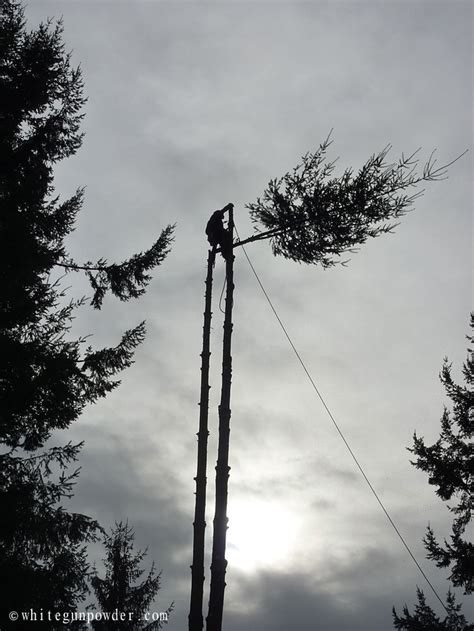 Tree Cutting - White Gunpowder