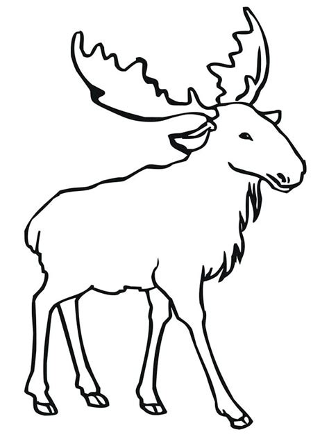 Elk Antlers Drawing at GetDrawings | Free download