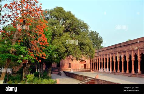 Marble Columns at Taj Mahal Stock Photo - Alamy