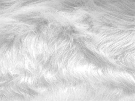 White Fur Wallpapers - Top Free White Fur Backgrounds - WallpaperAccess