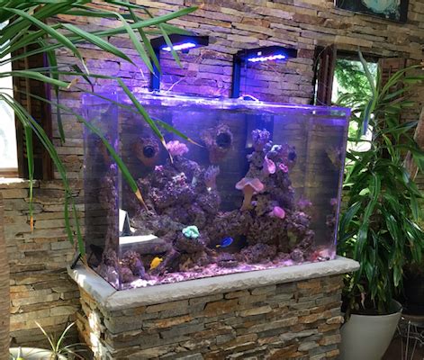 Custom Aquarium With Stone Stand Creation Of The Sea