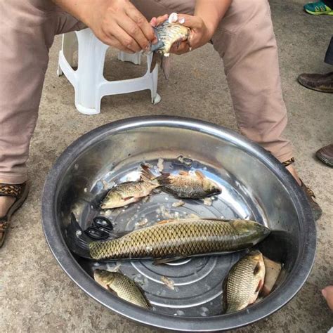 第一次釣大魚，魚兜有個洞，結果跑得不剩啥了 每日頭條