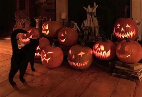 Cosa Si Festeggia Ad Halloween Origini Tradizioni E Tutto Quello Che