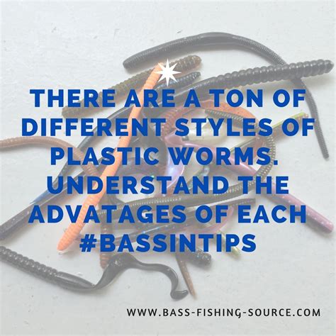 The Guide To Using Soft Plastic Worms For Bass Fishing With Images