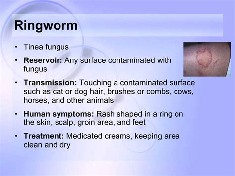 Zoonosis | PPT
