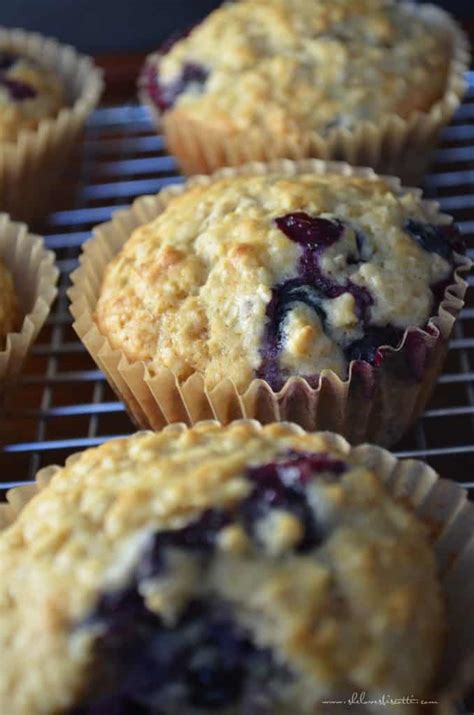 Healthy Blueberry Oat Muffins She Loves Biscotti