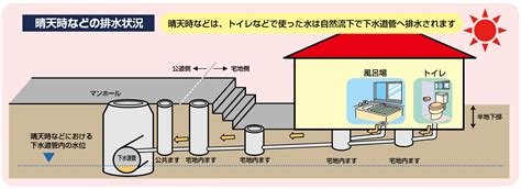 やっぱり、半地下はやばいんだな＝買わないほうがいい