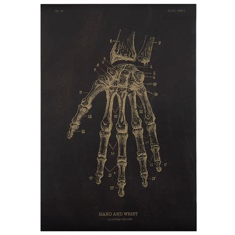 Dlkklb Kraft Paper Poster Chalkboard Anatomical Skeleton Vintage Home