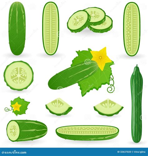 Icon Set Cucumber Stock Vector Illustration Of Internet 32637020