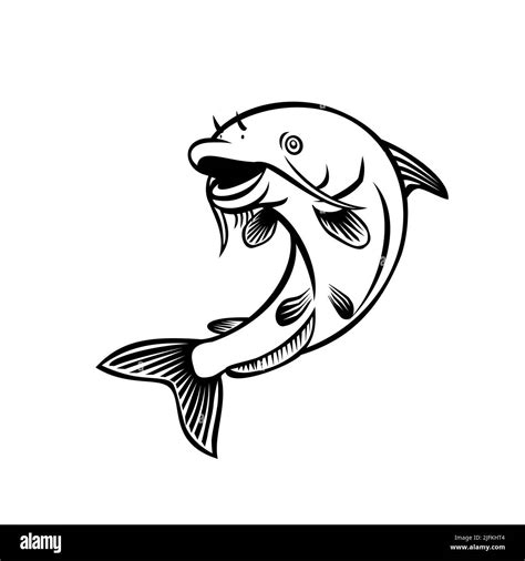 Cartoon Style Illustration Of A Blue Catfish Ictalurus Furcatus North