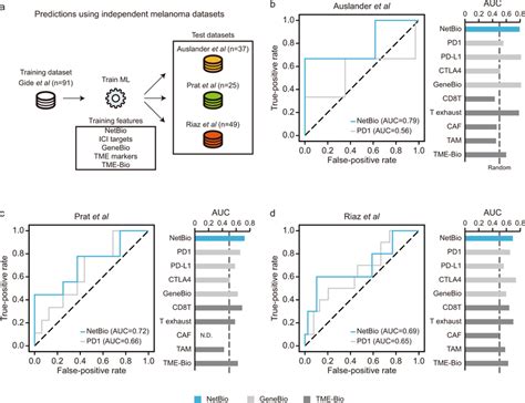 Predictive Performance In Three Independent Melanoma Datasets A Overall