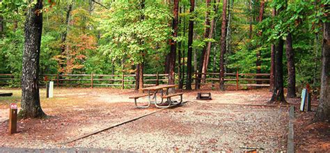 Bear Creek Lake State Park Cabins - Bear Creek Lake State Park - Campsite Photos and Camping ...