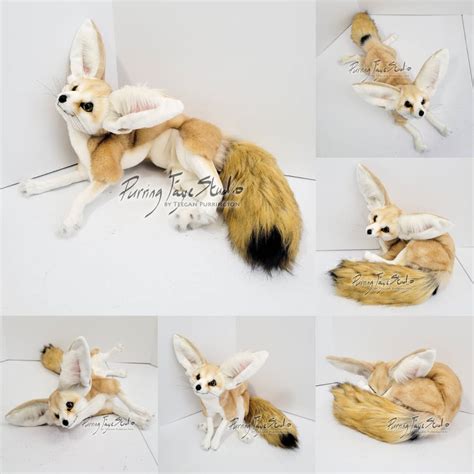 Fennec Fox Plush by TeeganPurrington on DeviantArt