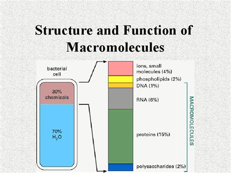 Structure And Function Of Macromolecules Ppt For 9th 10th Grade