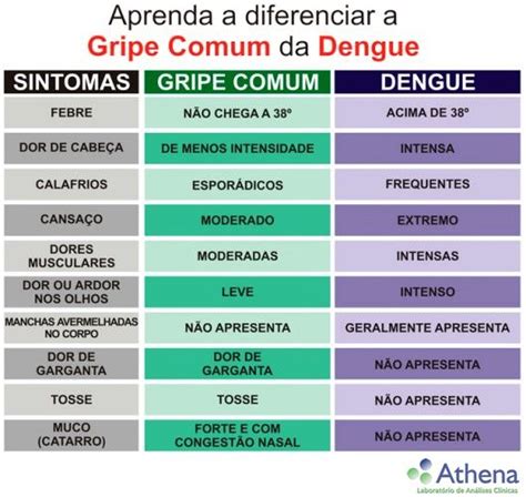 Gripe Ou Dengue Você Reconhece As Diferenças LaboratÓrio Athena