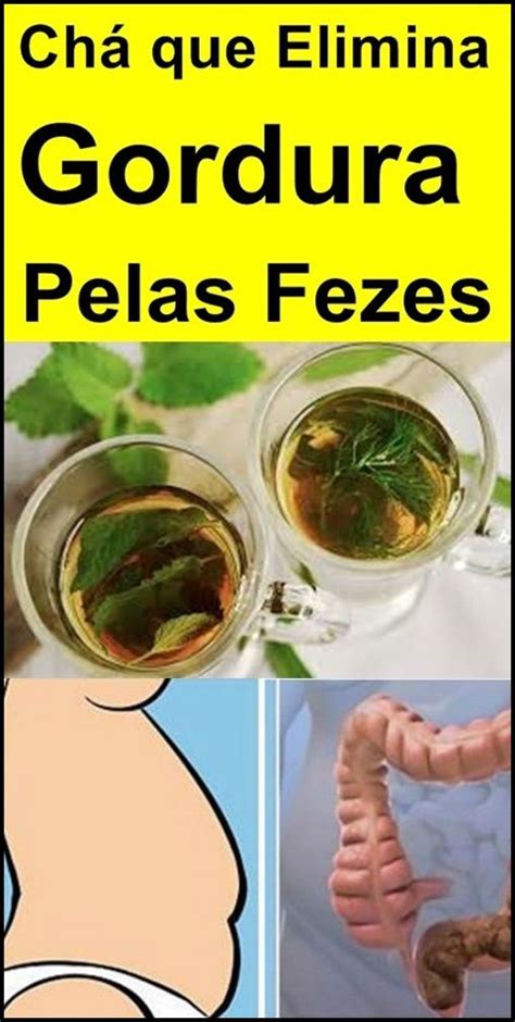 Receita Caseira Para Remover Gordura Pelas Fezes Em Emagrecer