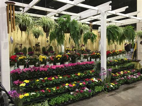 Our Garden Center Had A Full Selection Of Plants And Flowers At The