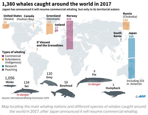 World #3 – Iceland to allow whale hunting over the next 5 years