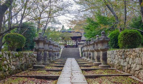 【三井寺（園城寺）唐院探題灯篭】の画像素材31247900 写真素材ならイメージナビ