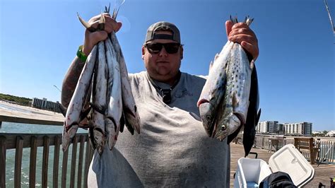 Springmaid Pier Myrtle Beach Spanish Mackerel Spring Run Youtube