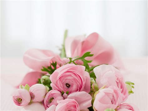 Bouquet of Pink Roses · Free Stock Photo