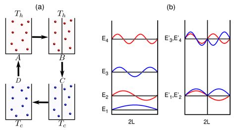 Entropy Free Full Text Quantum Advantage Of Thermal Machines With