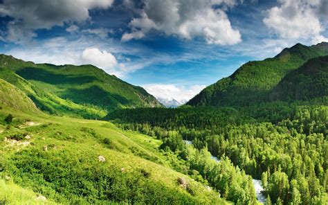 Landscapes Nature Trees Forest Hills Valley Valley Of The Wind