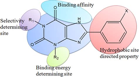 Structure Activity Relationship Of Designed Scaffold Of Xanthine